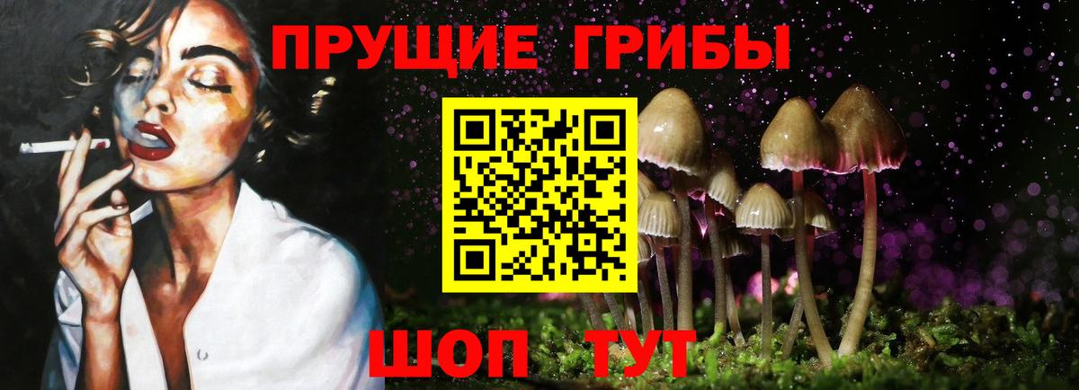 Псилоцибиновые грибы прущие грибы  Вход с VPN  Гусь-Хрустальный 